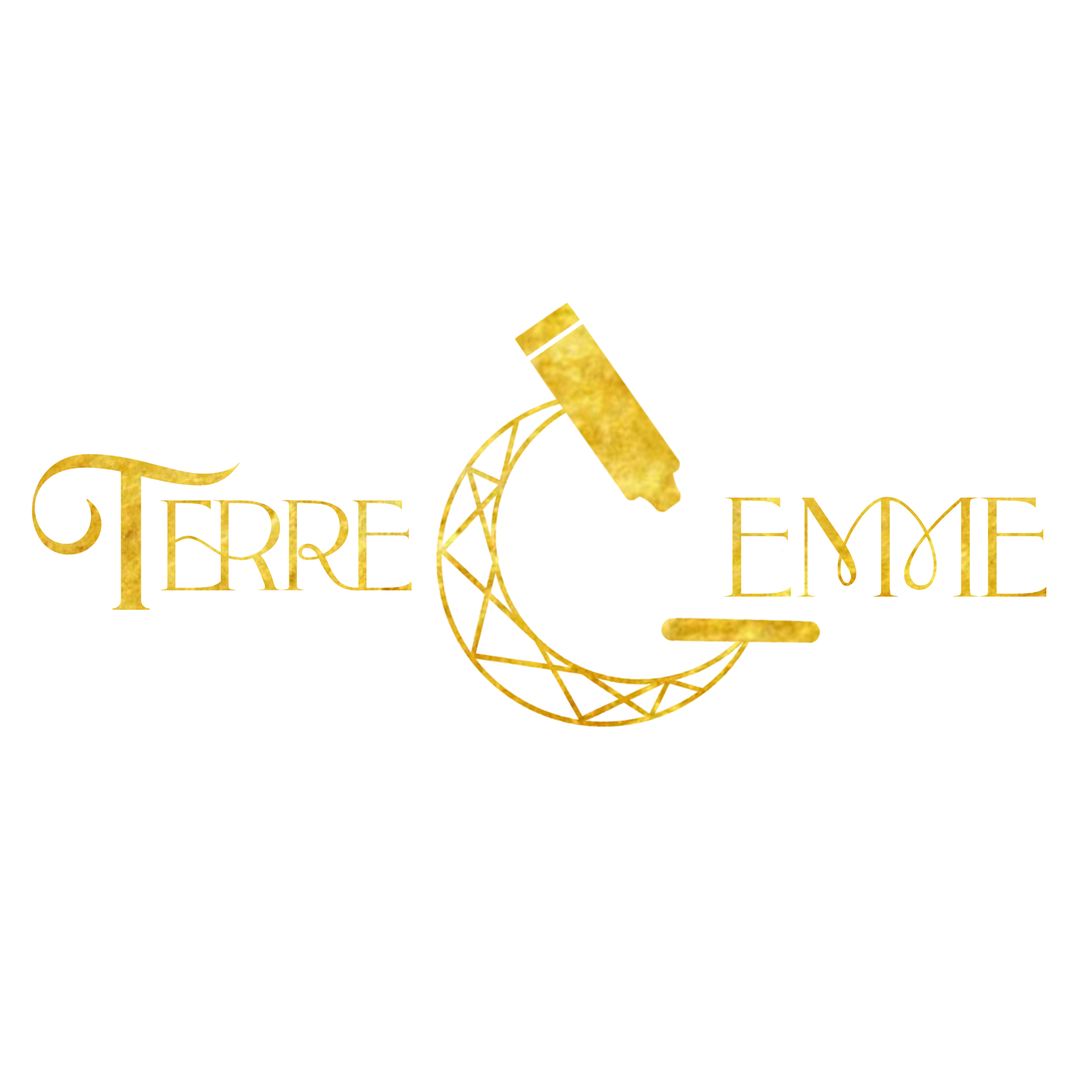 logo terre gemme